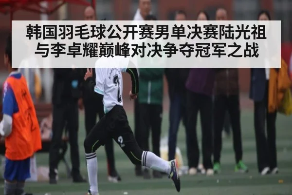 韩国羽毛球公开赛男单决赛陆光祖与李卓耀巅峰对决争夺冠军之战